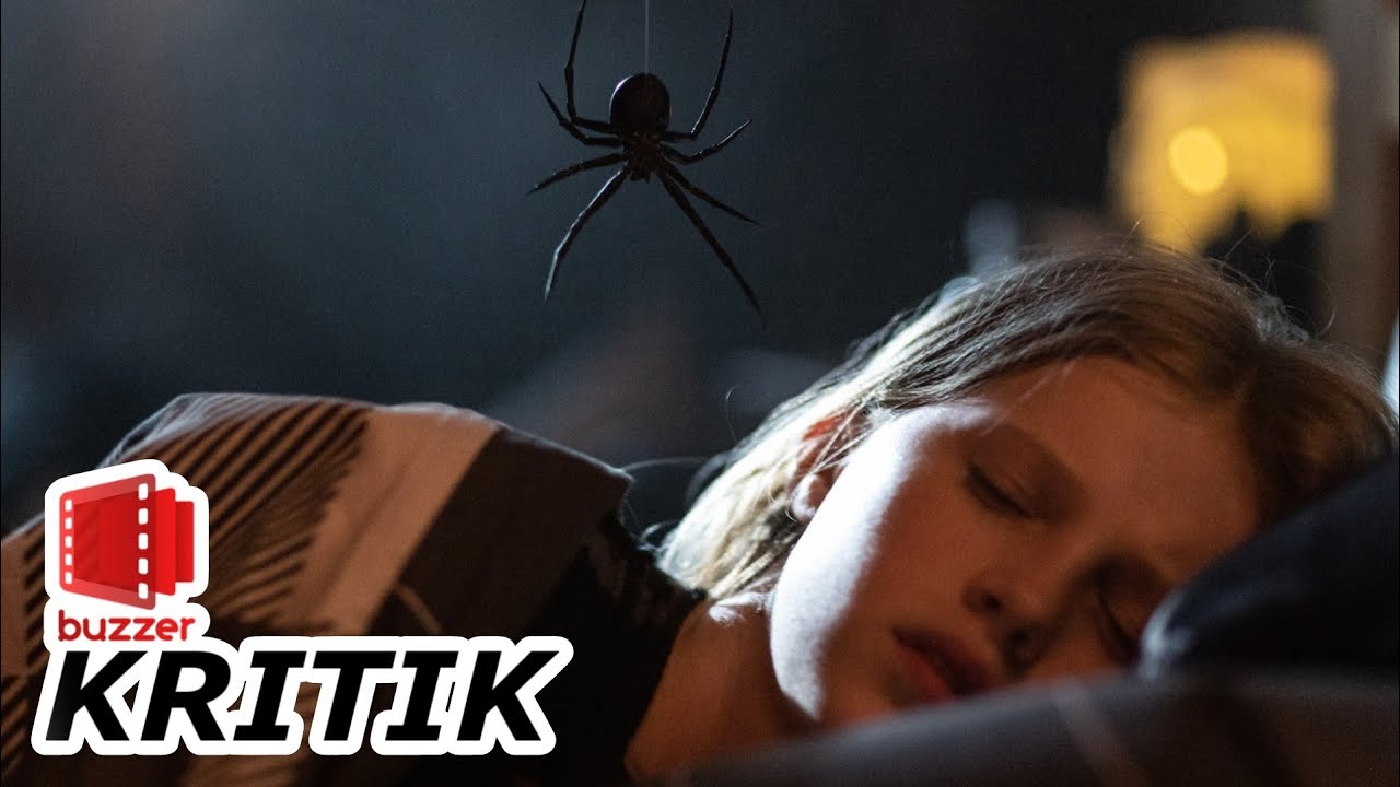 Sting 🕷️ Wie gruselig ist die Riesenspinne im Wohnhaus?