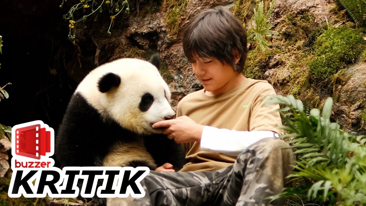 Moon, der Panda 🐼 Ein Familienfilm mit echtem Naturzauber?