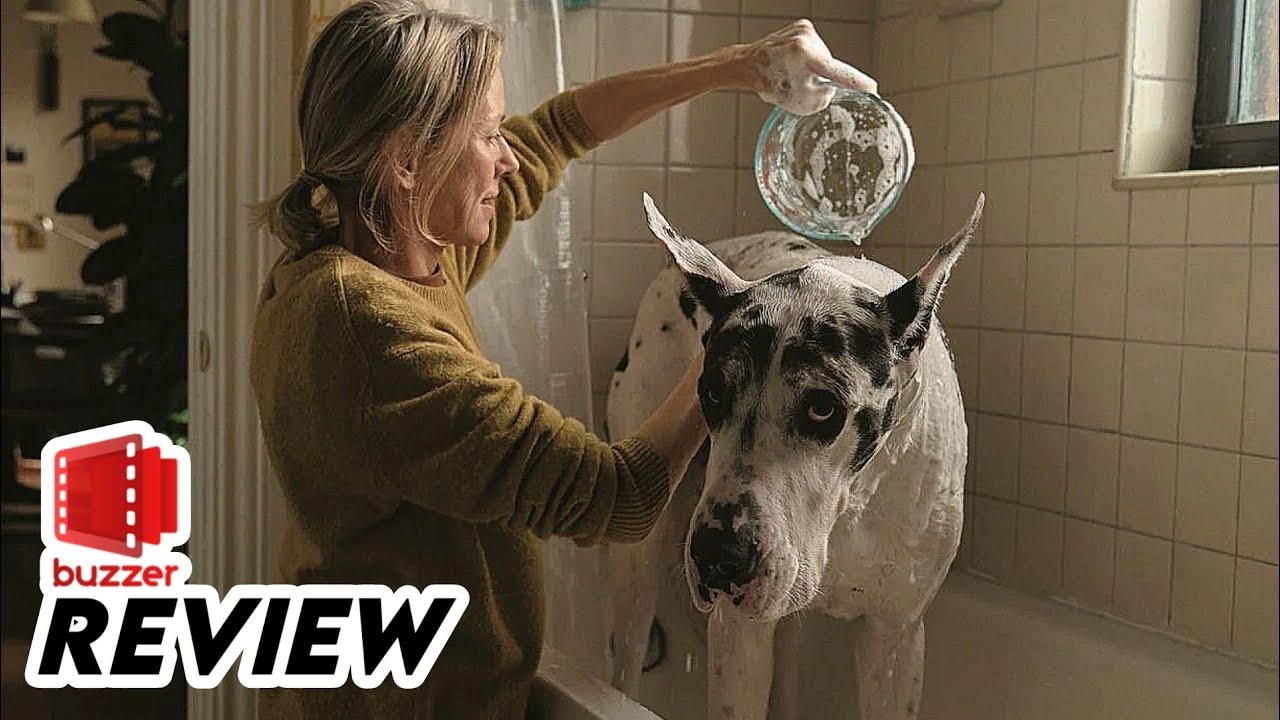 Loyal Friend 🐕 Naomi Watts findet Trost bei einer riesigen Dogge