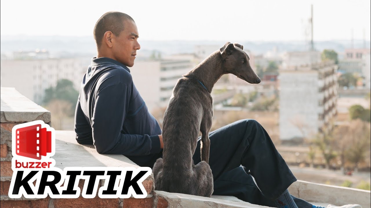 Black Dog – Weggefährten 🐕 Eine stille Freundschaft in Chinas Geisterstadt