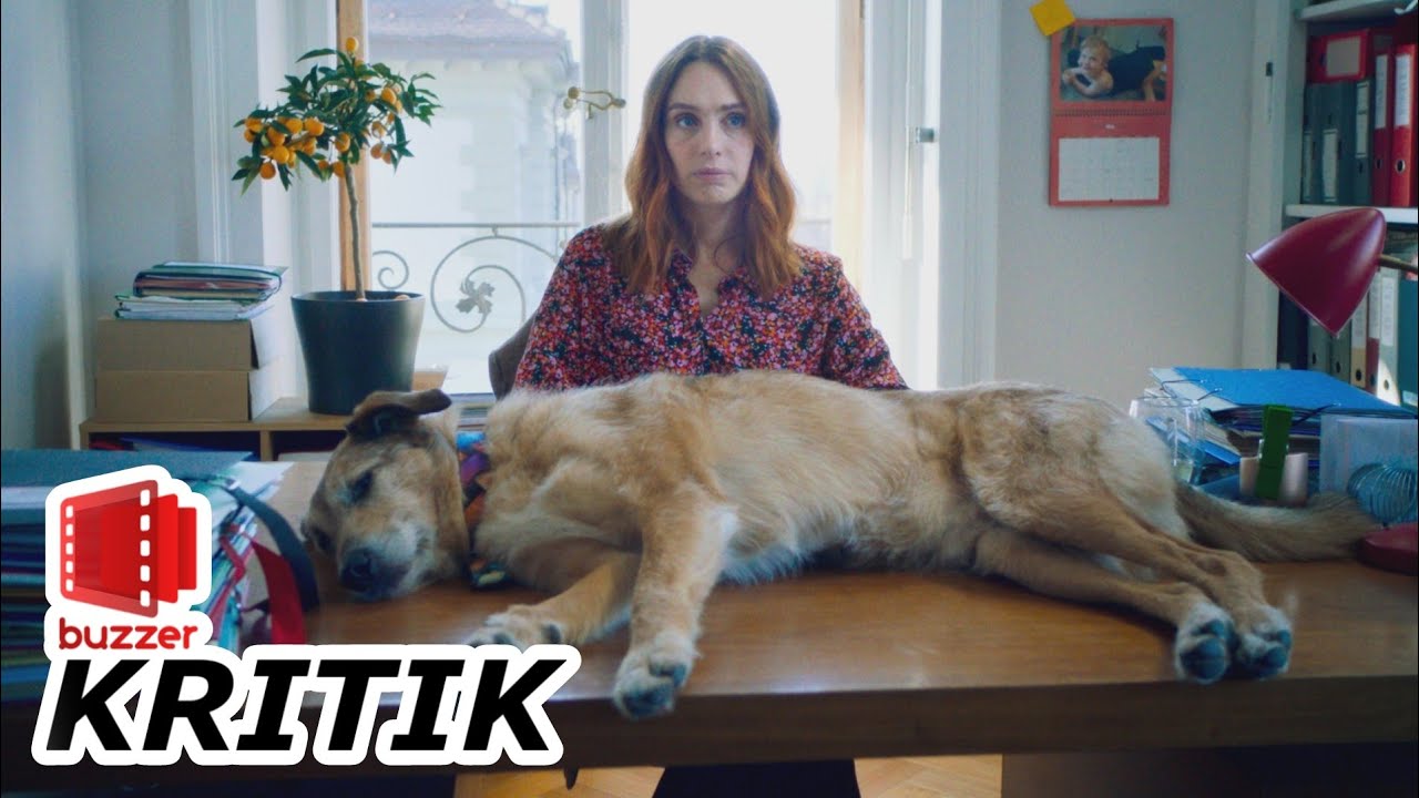 Hundschuldig 🐕 Kann ein Hund vor Gericht für Humor sorgen?