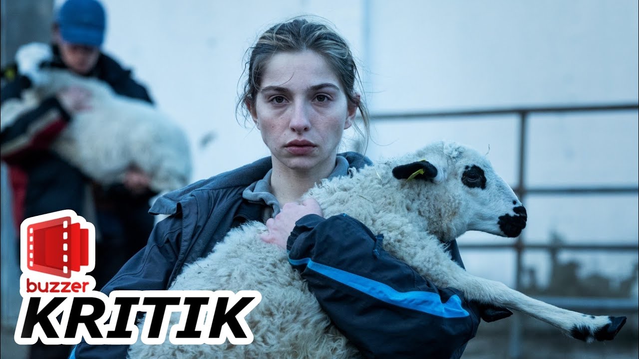 Wie wilde Tiere ⛰️ Wie ein Nachbarschaftsstreit zum Psychothriller wird